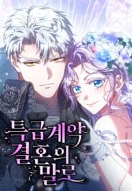 In the Name of Special Contract Marriage manga cover