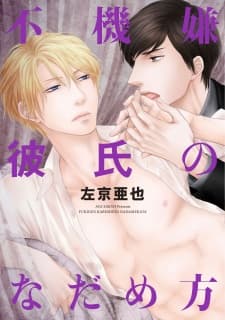 Fukigen Kareshi no Nadamekata manga cover