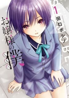 Ojousama no Shimobe manga cover