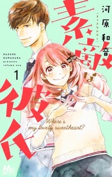 Suteki na Kareshi manga cover