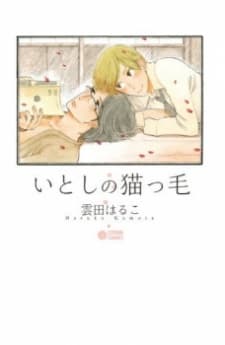 Itoshi no Nekokke manga cover