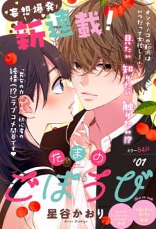Tama no Gohoubi manga cover