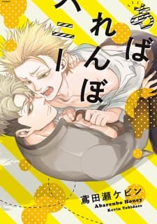Abarenbo Honey manga cover