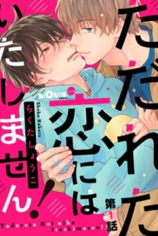 Tadareta Koi ni wa Itashimasen! manga cover