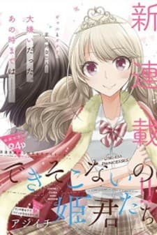 Useless Princesses manga cover