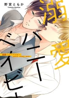 Dekiai Honey Baby manga cover