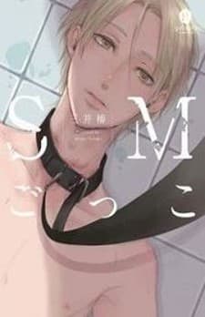 SM Gokko manga cover