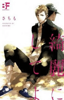 Kirei ni Shiteyo manga cover