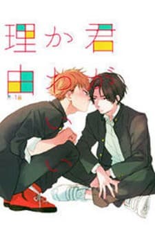 Kimi ga Kawaii Riyuu manga cover