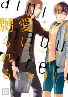Ai ni Naburareru manga cover