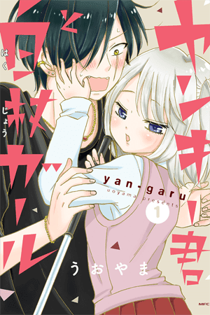 Yankee-kun and the White Cane Girl manga cover