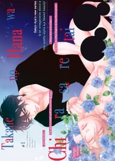 Takane no Hana wa Chirasaretai manga cover