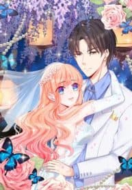 Secret Marriage: Priceless Baby Of The President manga cover