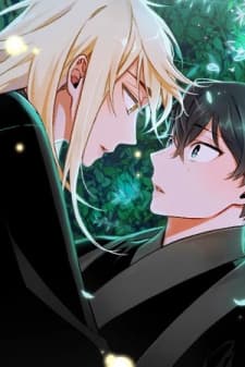Cradle of Imae