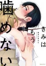 Kimi wa Mou Kamenai