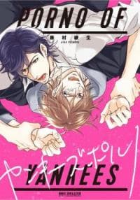 Porno of Yankees manga cover
