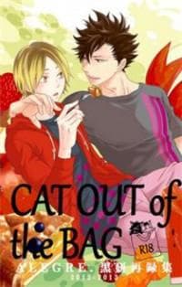 Haikyu!! Dj - Cat Out Of The Bag