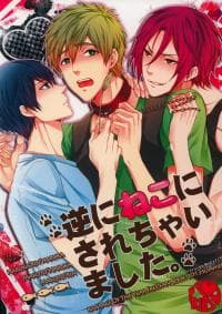 Free! DJ - Gyaku ni neko ni sarechaimashita