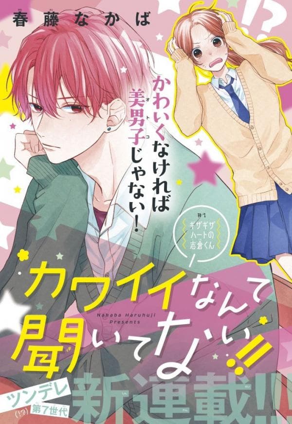 Kawaii nante kiitenai manga cover