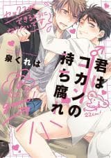 Kimi wa Kokan no Mochigusare