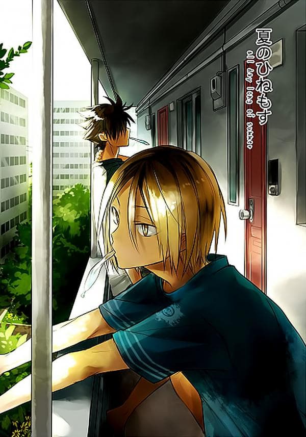 Haikyuu!! - Natsu no Hinemosu (Doujinshi) manga cover