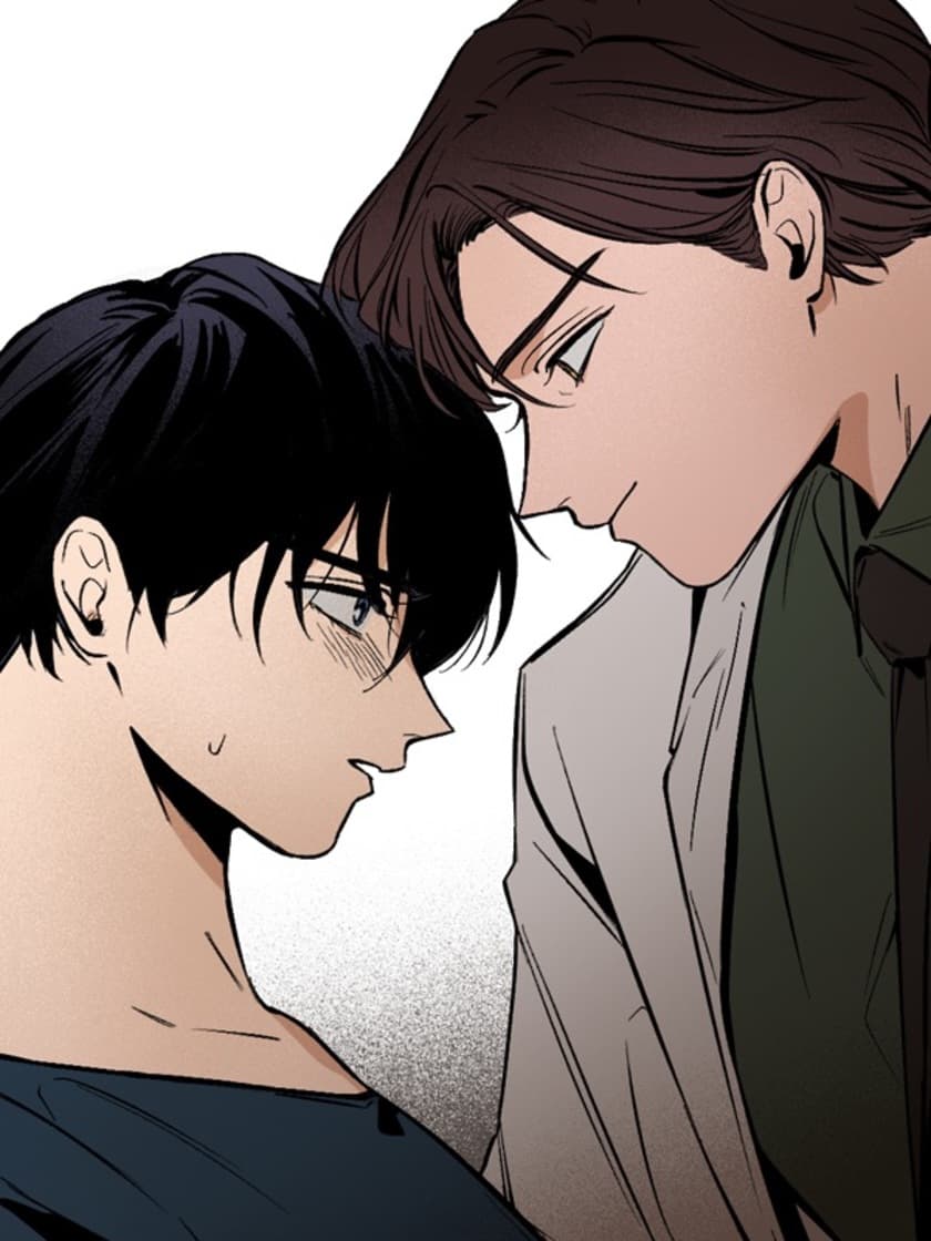 The third perspective manga cover