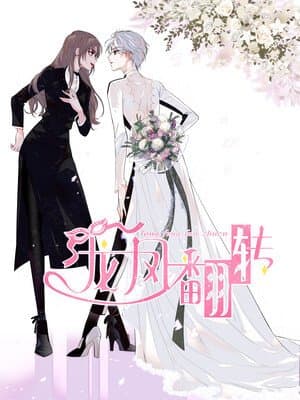 Dragon and Phoenix flip manga cover