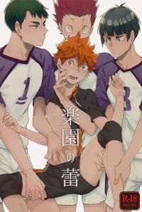 Rakuen no Tsubomi- Haikyu! dj manga cover