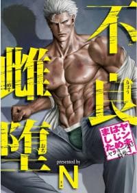 Furyou Mesu Ochi manga cover