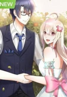 Love At First Night manga cover