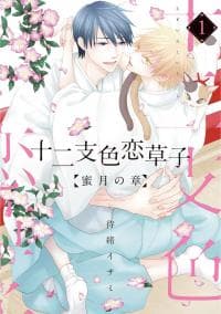 Etoiro Koizoushi ~Mitsugetsu no Shou~ manga cover