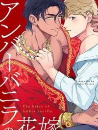The Bride of Amber Vanilla manga cover