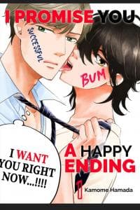 I PROMISE YOU A HAPPY ENDING