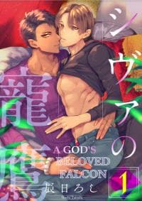 A God's Beloved Falcon manga cover