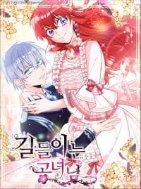 Taming The Lady manga cover