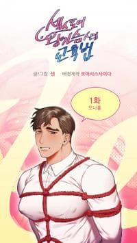 Sex Toys: How to Educate Newcomers with Big Breasts manga cover