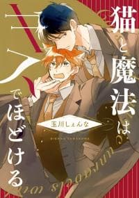 Neko to Mahou wa Kiss de Hodokeru manga cover