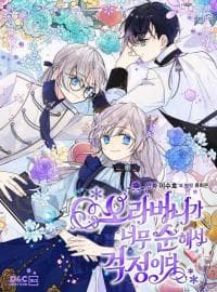 I&rsquo;m Worried that My Brother is Too Gentle manga cover