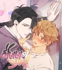 Habibi's Rabbits manga cover
