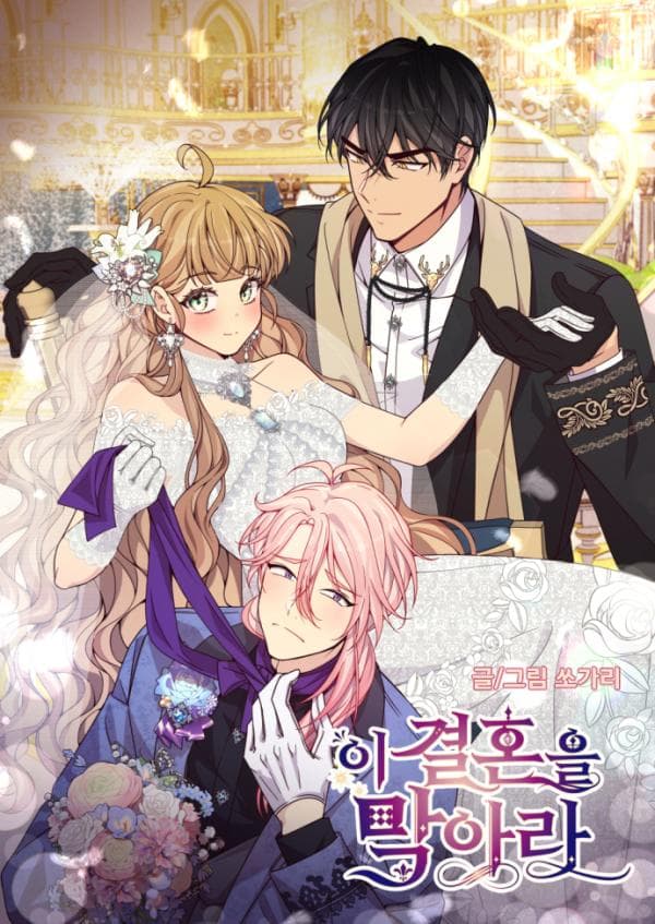 Stop This Marriage! manga cover