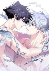 Surge Looking For You manga cover