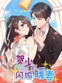 Marrying a CEO manga cover