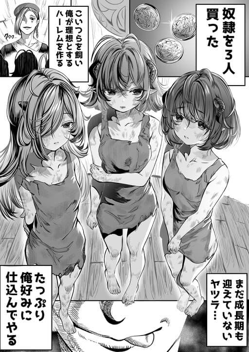 Dorei wo Choukyoushite Harem Tsukuru manga cover