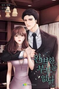 There Is No Perfect Married Couple manga cover