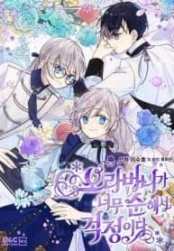 I Am Worried Because My Brother Is Too Gentle manga cover