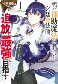 A Court Magician, Who Was Focused On Supportive Magic Because His Allies Were Too Weak, Aims To Become The Strongest After Being Banished manga cover
