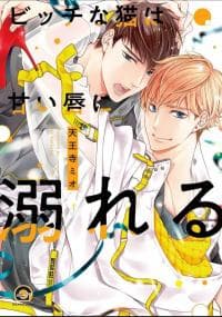 Bitch na Neko wa Amai Kuchibiru ni Oboreru manga cover