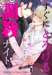 Sugu ni Torokeru Choukyou Naito manga cover