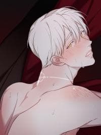 Confession Night manga cover