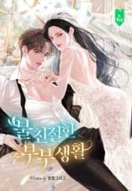 Some Kind of Marriage manga cover